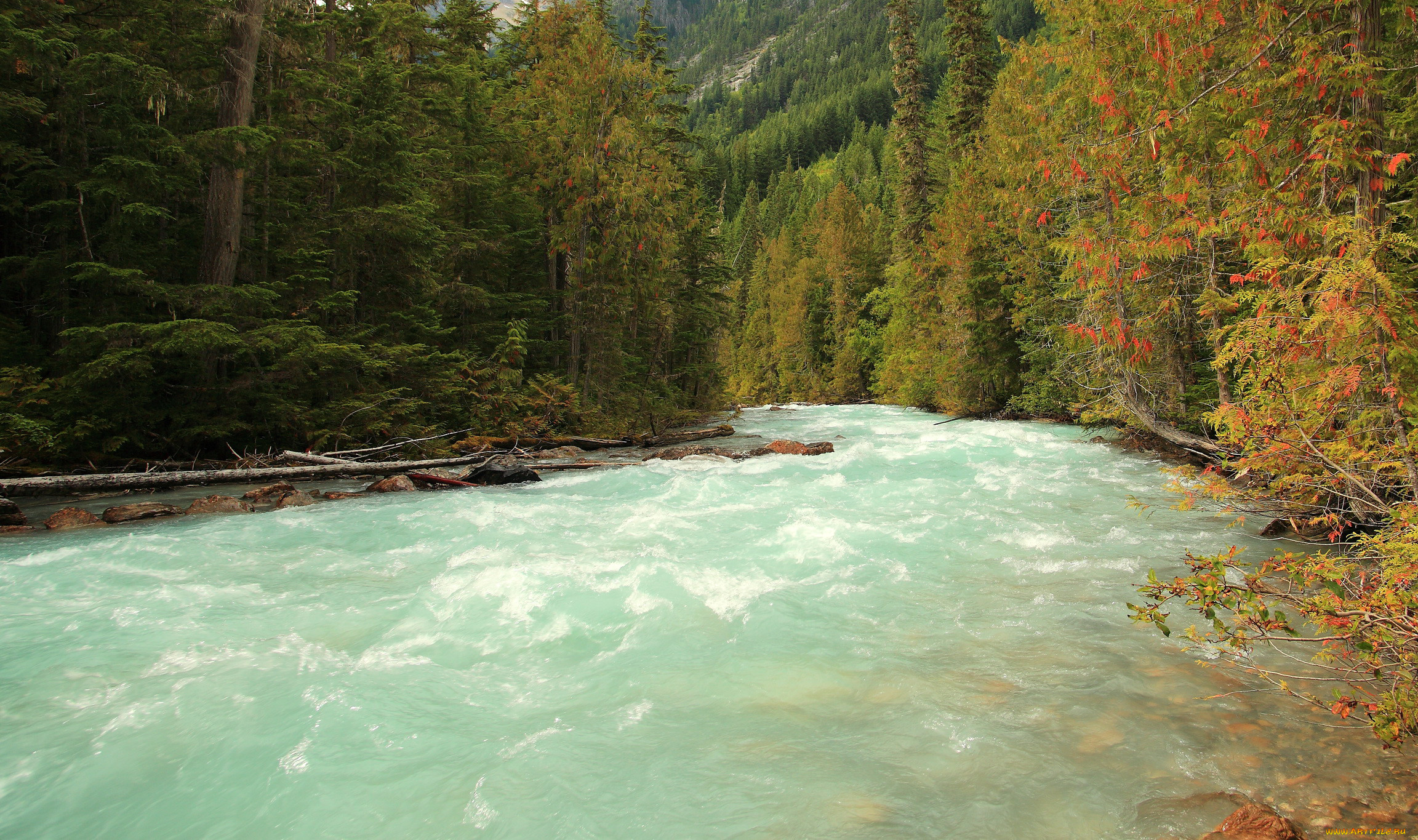 mount robson national park, , , , park, , , mount, robson, 